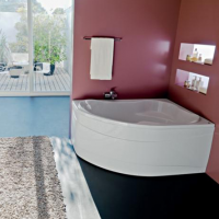 картинка N 1 к Акриловая ванна Kolpa-San Lulu L 170x110x53 (Л) Basis + панель