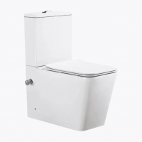 Унитаз напольный SantiLine SL-5017SM-BD с встроенным смесителе