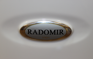 логотип Радомир